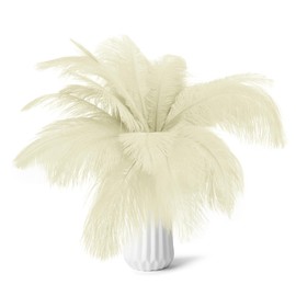 80pcs 15-17 inches (38-43cm) White Natural Bulk Ostrich Feathers Kit,for Home Decor,Flower Arrangements, Wedding Party Centerpieces and Various DIY Projects.(White)
