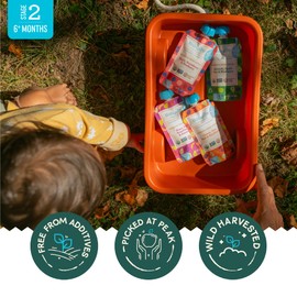 Babylife Organics Stage 2 Organic Baby Food - Spinach, Apple, Pear & Blueberry, 3.5 Ounce Pouch (6 Pack)