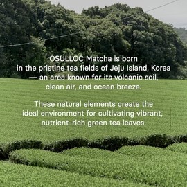 Osulloc Polvo de matcha premium OSULLOC (sin azúcar), té verde puro de hoja orgánica premium (USDA) de Jeju, 40 g                                     