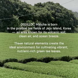 Osulloc Polvo de matcha premium OSULLOC (sin azúcar), té verde puro de hoja orgánica premium (USDA) de Jeju, 40 g                                     