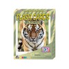 TEACH PLAY Paquete de Flash Cards Animals Idioma: Inglés 45