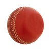 Gray-Nicolls Mini Leather Cricket Ball - Red - Mini
