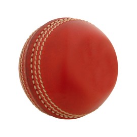 Gray-Nicolls Mini Leather Cricket Ball - Red - Mini