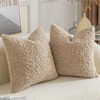 Yaertun Pack of 2 Faux Fur Throw Pillow Covers Decorative