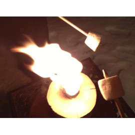 One Log Fire, Swedish Fire Log Camping Kit