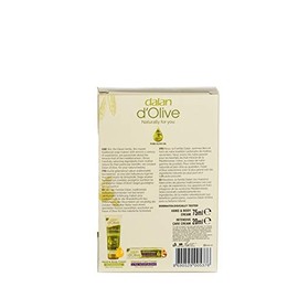 Dalan D'Olive - Repair Care Shampoo 250mL