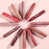 Long Lasting Matte Lipstick, 2 Counts/set Water Proof Velvet Matt