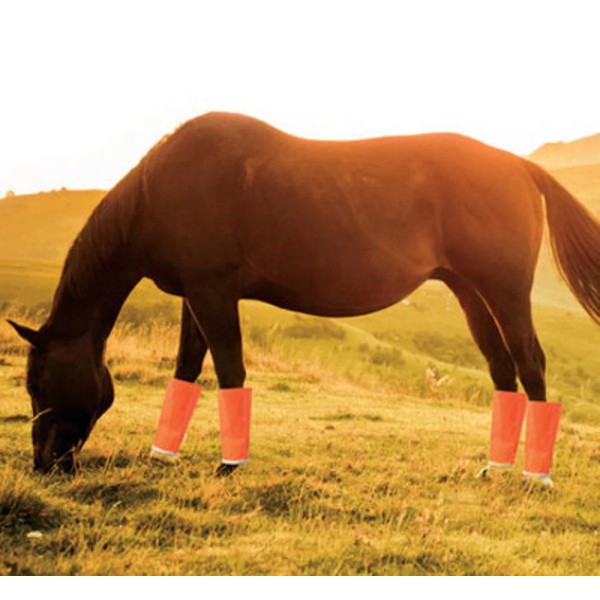 Shoofly Horse Leggins Fly-Bite Protection Breathable Mesh Orange Set of