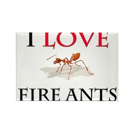 CafePress I Love Fire Ants Rectangle Magnet (10 Pack) Rectangle Magnet, 2"x3" Refrigerator Magnet (10 Pack)
