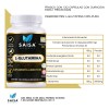 Glutamina 100 Pura 120 Cáps Saisa Herbal Suplemento Natural Apoyo
