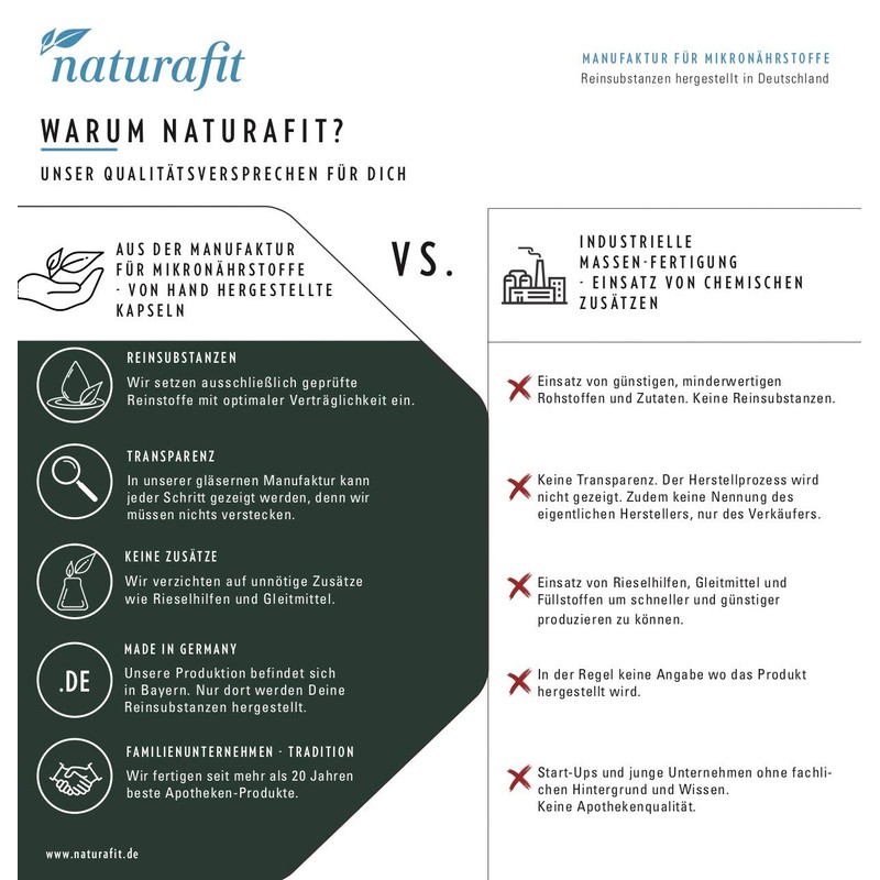 naturafit Vitamin B1 100 mg Kapseln, 30 St. Kapseln