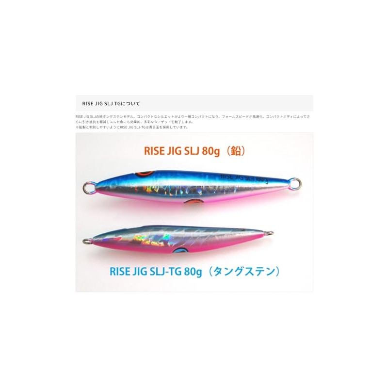 Rise Japan (RISE JAPAN) Rise Jig SLJ TG 80g RJ01