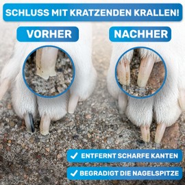 BluePet 12 cm Krallenfeile Nagelfeile zur Entfernung scharfer Kanten & optimalen Krallenpflege für Hunde, Katzen & Kleintiere (1x Fein)