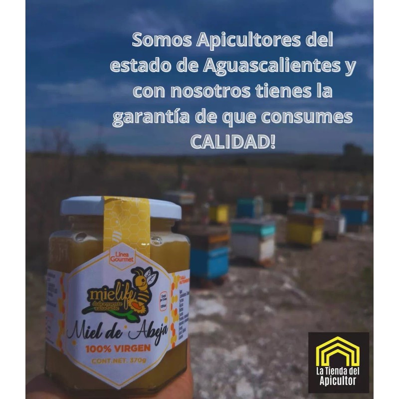 Mielife Cera Abeja Estampada Para Langstroth Apicultura Mielife 5kg