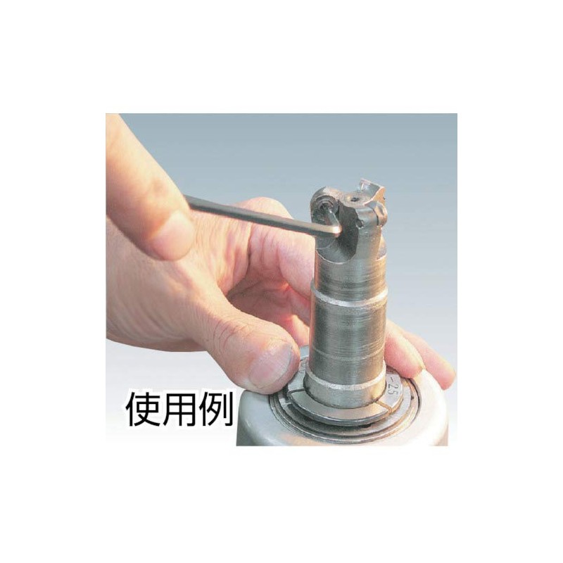 TRUSCO Hex Lobe Wrench T10H TTW-10H