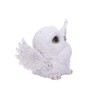 Nemesis Now Snowy Delight Owl Figurine 20.5cm, Resin, White, Charming