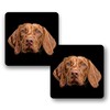 Fractal Artworks Hungarian Vizsla Coaster Set of 2 with Fractal