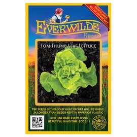 Everwilde Farms - 1000 Tom Thumb Lettuce Seeds - Gold Vault Jumbo Seed Packet