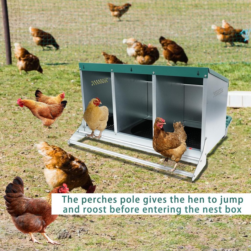 Chicken Nesting Box, 3 Holes Nesting Boxes, Heavy Duty Metal