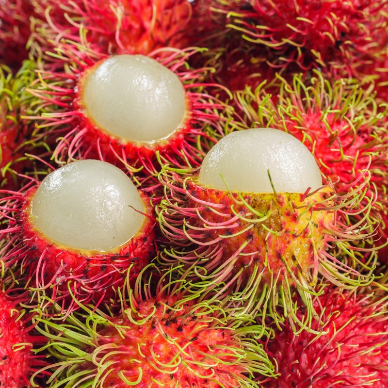Fruits in Syrup (Rambutan with Pineapple) - 20oz (Pack of