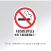 Unbranded ABSOLUTELY NO SMOKING stickers | white | outdoor durable