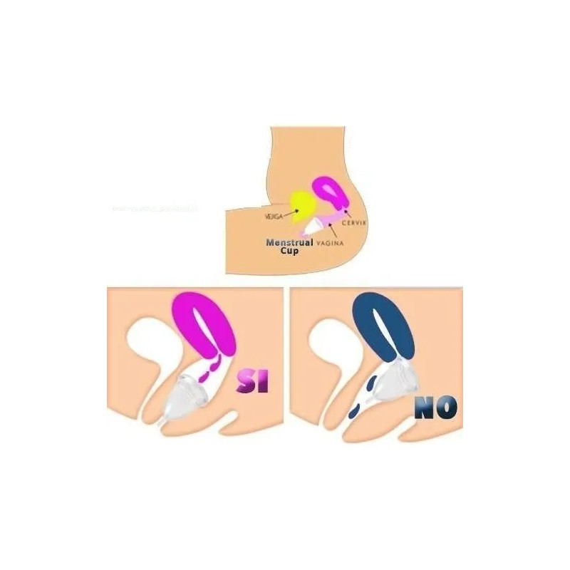 15 Copas Menstruales Aneer Certificada Mayoreo Instructivo