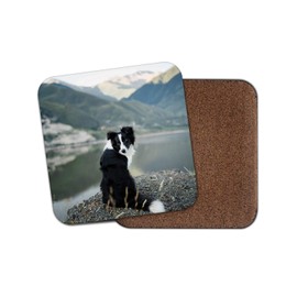 1 x Border Collie Dog Coaster - Sheep Dogs Puppy Lake Walking Hiking Fun #12385
