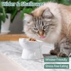 AIMALL Ergonomic Ceramic Cat Bowl - Elevated Cat and Dog