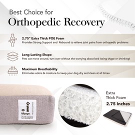 ibiyaya - Orthopedic Bed for Small Dogs - Dog Sofa Bed Small, Supportive Foam Pet Couch with Removable Washable Cover, Waterproof Lining and Nonskid Bottom - Royal Blue