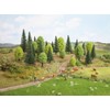 Noch 26911 - Set di 10 Alberi Misti, 5-14 cm