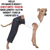 D Doggy Star Italian Greyhound Clothes Sleeveless Jeans Onesie Outfit