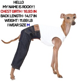 D Doggy Star Italian Greyhound Clothes Sleeveless Jeans Onesie Outfit Whippet for Dog Coat (M,Blue Jean)