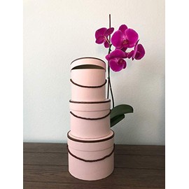 UNIKPACKAGING Premium Quality Round Flower Box, Gift Boxes for Luxury Flower and Gift Arrangements, with Lids, Size (S/M/L), Powder with Brown Rim