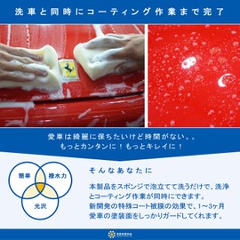 洗車の王国 撥水 ワックス 洗浄コーティング剤 『パワーフォーム』 800ml レフィル (詰め替え用) シャンプー カーケア 991