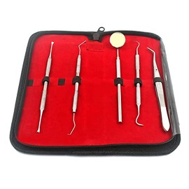 Dental Tool KIT by AA PRO - Dental Hygiene KIT | Includes Dental Pick, TARTER Scraper/Scaling Instrument, Tweezers, Mouth Mirror - Professional Grade Dentist Approved Tools A+ Quality