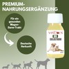 vetDocs Organic Colostrum Liquid, Colostrum Dog, Colostrum Cat with Powerful