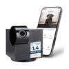 PetTec CCTV Camera Full HD 360° WiFi Night Vision Automatic