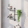 KAAPSAM Rotating Wall Plant Shelves Plant Shelf for Window 3-Tier
