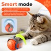 2025 New Interactive Cat Ball Toy for Indoor Cats Rotating