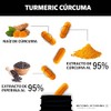 Turmeric Crcuma con Extracto de Raz de Crcuma Estandarizada al