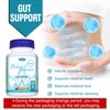 TAOTERS 15 Day Cleanse Gut Support 2 Pack | Colon