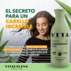 Vitacilina Capilar Shampoo Purificante │ Retinol + Sábila + Romero