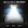 TYH-6W Good Goods Solar Motion Sensor Light, Outdoor Night Light,