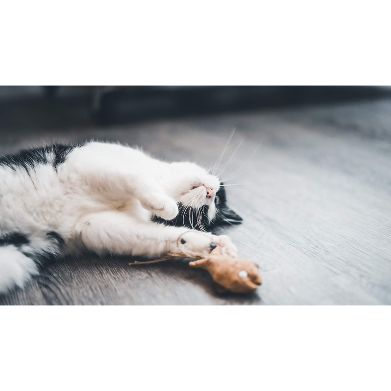 Aime 9cm Natural Cork Cat Toy with Catnip for Claws