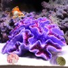 Besimple Aquarium Coral Ornaments Decor Fish Tank Plants Decoration for