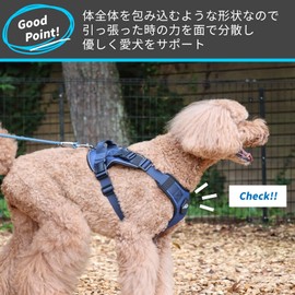 [白山:Hakusan] Zero 4 Dog Harness Made by Japan, Mesh, Comfortable, Adjustability, Friendly, Removable Patch, Useful Handle, S- Medium Dog, Turquoise