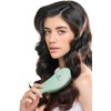 Apigreen Cepillo Desenredante Biodegradable para Cabello Seco y Húmedo |