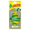 TAVOLA 102306 Airfreshener Magic Tree Green Forest & Bergamot