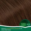 Easyouth Medium Brown Ponytail Hair Extensions Human Hair Remy Thick