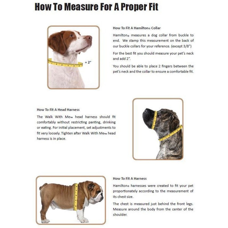 Hamilton Hamilton Adjustable Dog Collar
